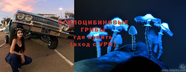 ешки Магас