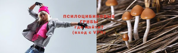 2c-b Лагань