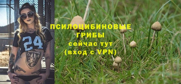 кокс Апатиты