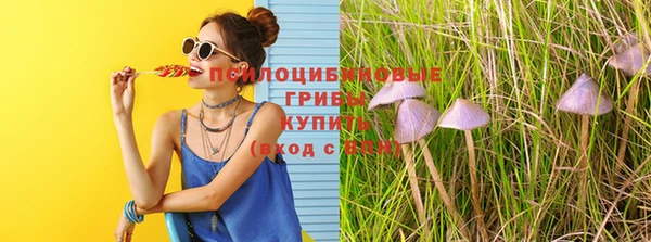 ешки Магас